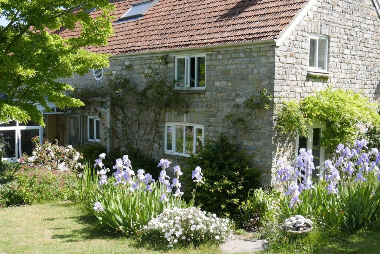 The Potting Shed, Self Contained, Detached Retreat In Shapwick Village Exteriér fotografie