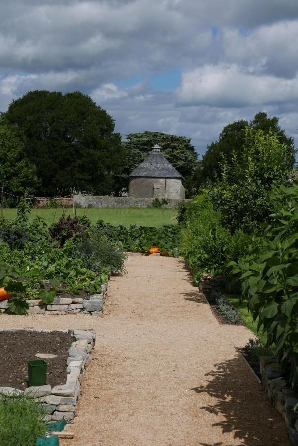 The Potting Shed, Self Contained, Detached Retreat In Shapwick Village Exteriér fotografie